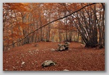 I Colori dell'autunno in Abruzzo