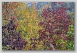 I Colori dell'autunno in Abruzzo