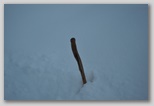 La nevicata del 3 febbraio 2012: le foto scattate domenica a L'Aquila e dintorni. La zona di Scoppito sotto il Monte Calvo.