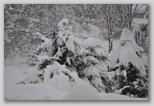 La nevicata del 3 febbraio 2012: le foto scattate domenica a L'Aquila e dintorni. La zona di Scoppito sotto il Monte Calvo.