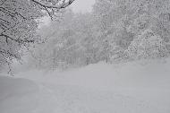 Campo Felice sotto una fitta nevicata