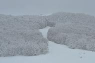 Campo Felice sotto una fitta nevicata
