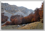 Val di Rose nel Parco Nazionale d'Abruzzo, Lazio e Molise