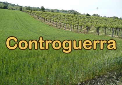 Controguerra DOC