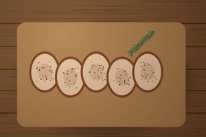 Porchetta di Campli – 1